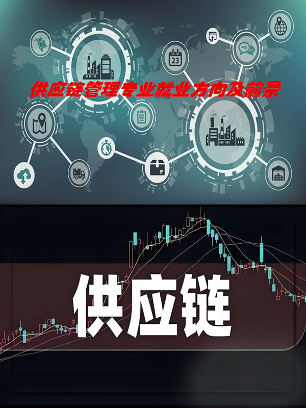 供应链管理专业 解锁智能物流系统集成的黄金赛道