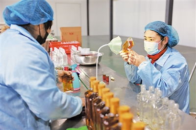 现代枸杞产业 灵动释放“现代因子”，驱动供应链管理革新